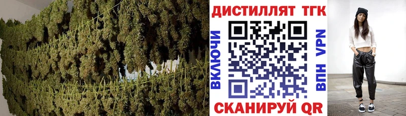 купить  цена  shop клад  Дистиллят ТГК вейп с тгк  Курчатов 